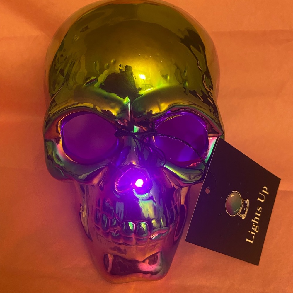 - Skull Decoration -Lights Up !